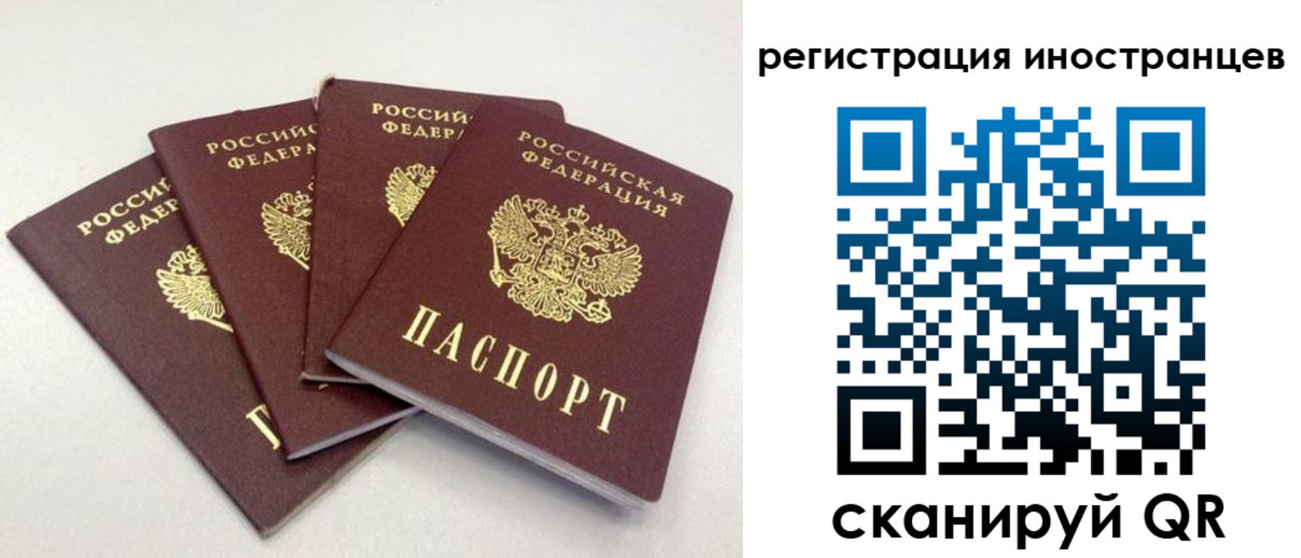 временная регистрация для школы в Тайге